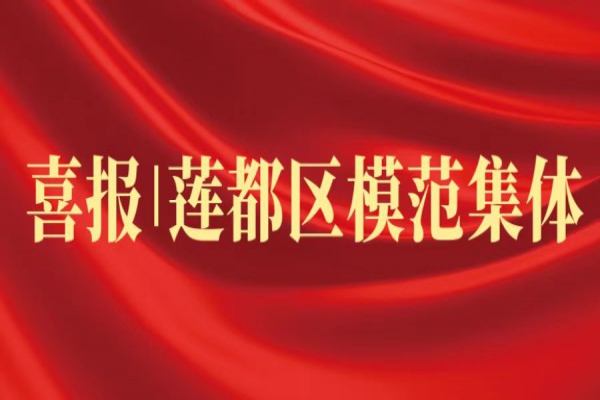 喜報丨浙江中立建設(shè)榮獲蓮都區(qū)“模范集體”稱號！
